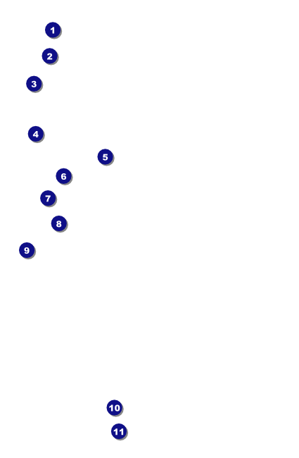 West Virginia Drink Ticket Front Field Markers