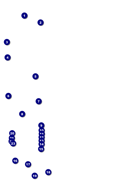 Animal Print Poster Front Field Markers
