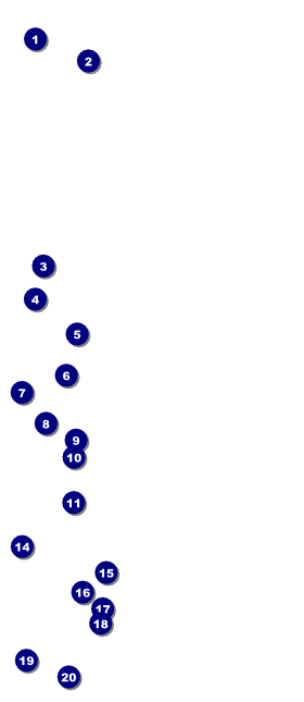 Midsummer Night's Dream VIP Pass Front Field Markers