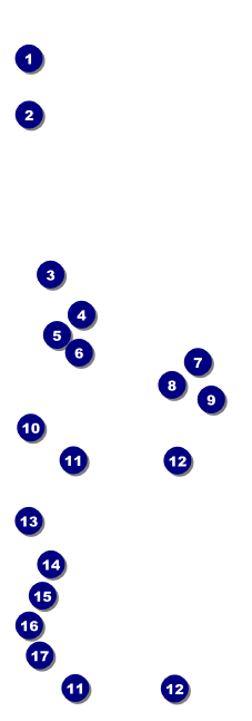 Indian Music Event Ticket Front Field Markers