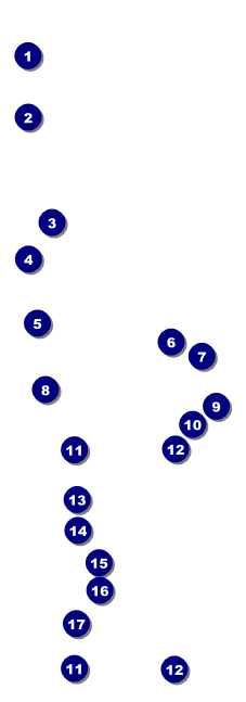 Indian Music Raffle Ticket Front Field Markers