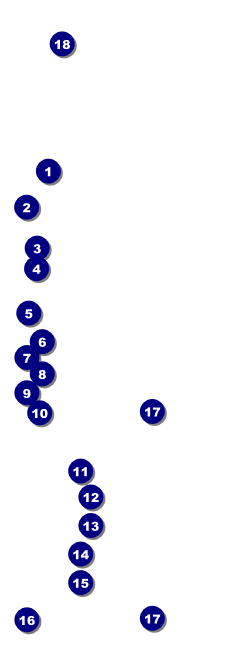 Sweet Sixteen Purple Chevron Raffle Ticket Front Field Markers