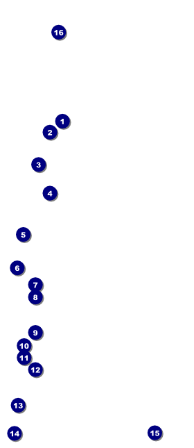 Sweet Sixteen Purple Chevron VIP Pass Front Field Markers