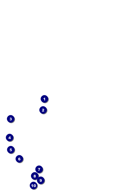 Black Tie Postcard Front Field Markers