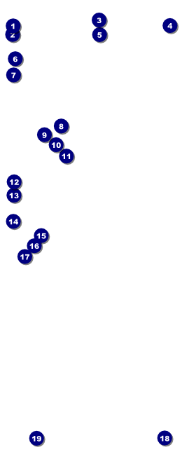 Children's Music VIP Pass Front Field Markers