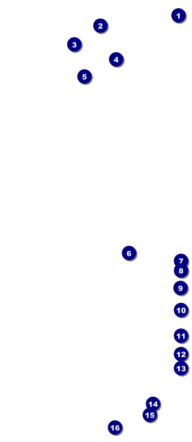 African Music VIP Pass Front Field Markers
