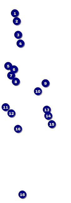 All Purpose Blocks Raffle Ticket Front Field Markers