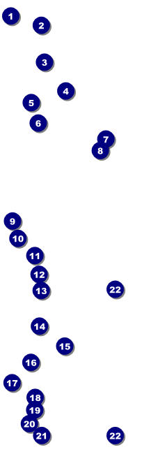 Alice in Wonderland Event Ticket Front Field Markers