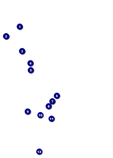 Whimsical Paris Club Flyer Front Field Markers