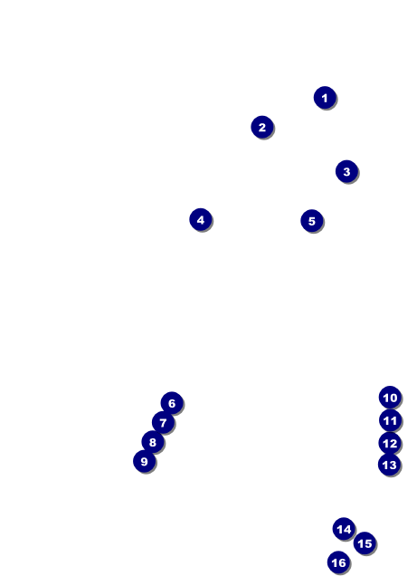 Paris Pink and Black Club Flyer Front Field Markers