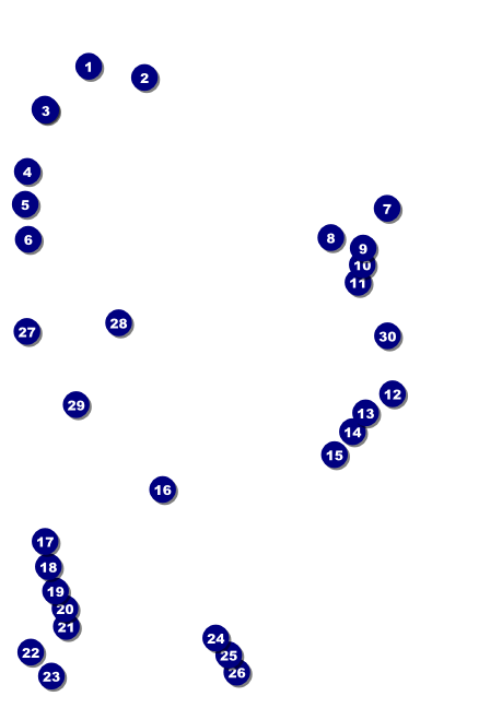 Roller Derby Jammer Club Flyer Front Field Markers